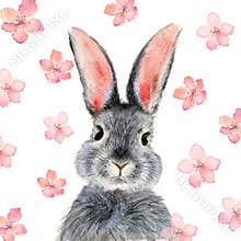 Watercolor illustration of a cute fluffy grey rabbit