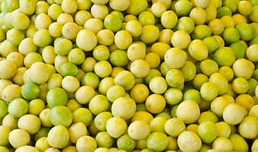 Fresh lemon