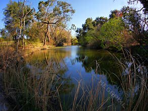 Small creek river slow  current  flow