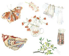 Watercolor country summer time set. Hand drawn realistic rustic collection. Boho style illustration.