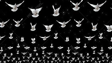 Doves. Clouds of flying white doves. Video art for shows and concerts, clips and music. Bird flight animation.