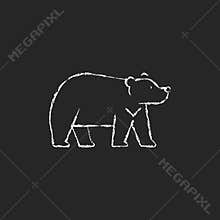 Formosan bear chalk white icon on dark background.