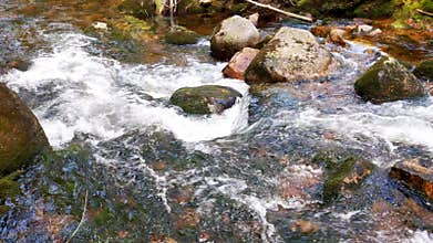 A small mountain river with cold clear water. Beautiful nature in the highlands