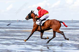 Cuxhaven, Germany - Aug 25, 2019: equestrian at the horse race in the mud flat at Duhner Wattrennen