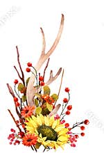 Watercolor Fall Sunflower , rustic clipart. Autumn Harvest Clip Art, Thanksgiving Day art,