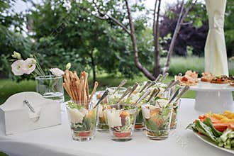 Backyard barbeque party at summer, elegant decoration, luxury catering, tasty and beautiful food
