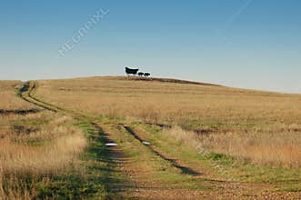Covered Wagon