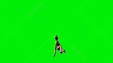Funny golden mannequin floor hip hop dancing, seamless loop, Green Screen