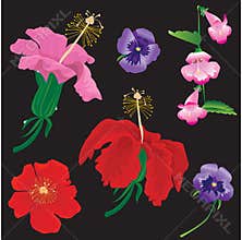 Set of Flowers bloom