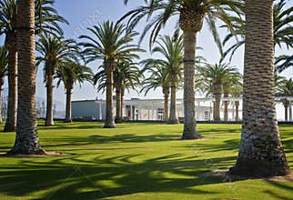 Palm Court, Orange County Great Park, California