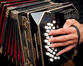 Playing traditional bandoneon.