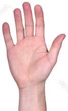 Open Hand, Palm To Camera With Fingers, Isolated
