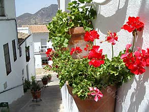 Flowerpots in Zahara de la Siera, Spain