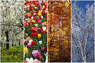 Four seasons