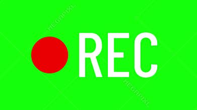 Inscription rec and blinking red circle dot on a green background. Motion graphic video recording animation