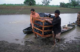 MARAJO island. (Amazon). BRAZIL