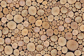 Pile of wooden logs