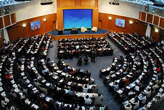 International conference