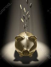 Piggy-bank