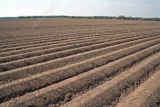 Ploughed agricultural field