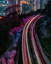 Train to Spring