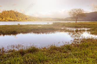 Peaceful lake landscape in Azores, Portugal