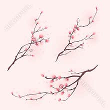 Oriental style painting, cherry blossom in spring