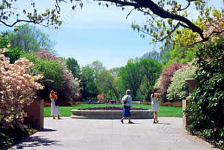 Tourists Brooklyn Botanic Garden New York USA