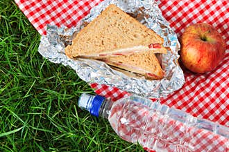 Picnic lunch