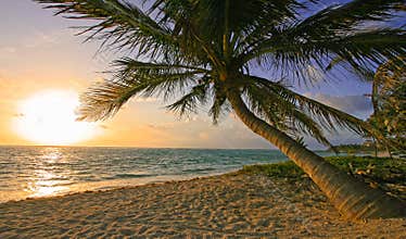 Riviera Maya Beach Sunrise
