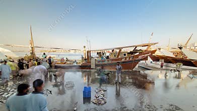 Seafood at the fish market in Ajman timelapse