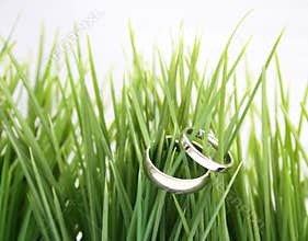 Wedding rings in the grass