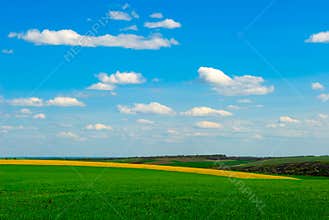 Agriculture field