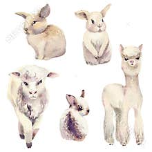 Watercolor farm animals set