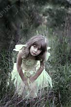 Peeking in the woods