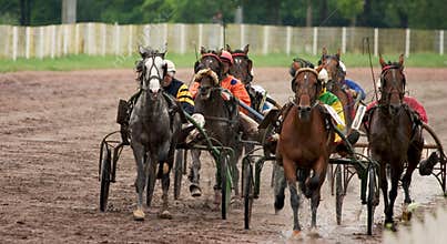 Horse race