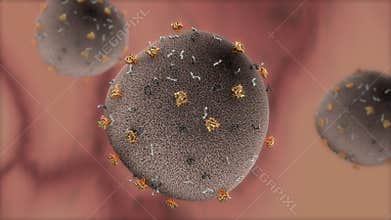 Detail rendering HIV virus cell.