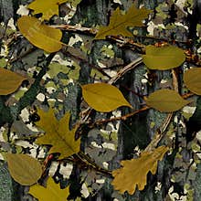 Natural Camouflage
