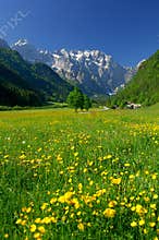 Spring in alpine valley