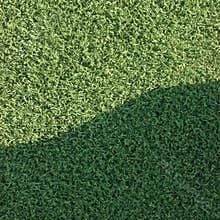 Artificial grass fake turf lawn texture field