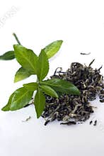 Green tea