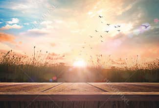 Birds Flying Over Grass Field at Sunrise with Empty Wood Table Perspective Background