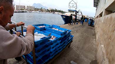 Sailors of trawler fishing boats downloading box fish in the port of Villajoyosa, Spain.
