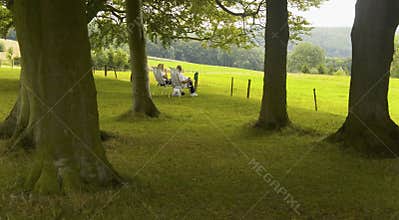 Picnic