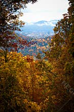 Asheville North Carolina