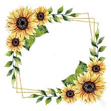 Watercolor Sunflower Floral Frame Design.