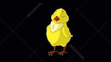 Little yellow chicken looks around alpha matte