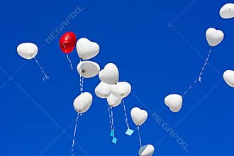 Ballons in the sky