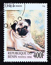 Postage stamp Benin, 1998. Pug Dog Canis lupus familiaris