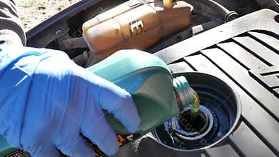 hand of a mechanic with blue glove making the engine oil change